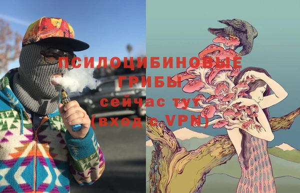 MDMA Premium VHQ Бугульма