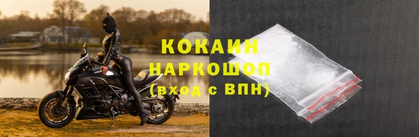 СК Бронницы