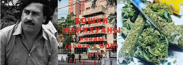 СК Бронницы