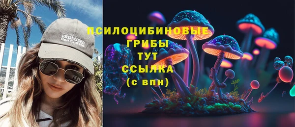 СК Бронницы