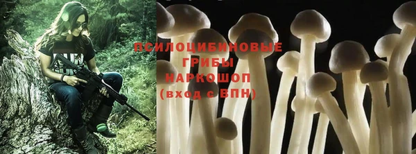 СК Бронницы