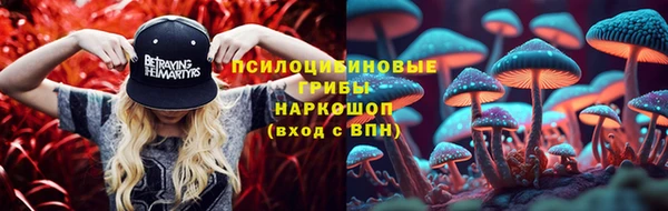 СК Бронницы