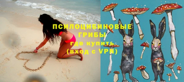 MDMA Бородино